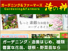 ガーデニング&ファーマーズ Gardening&Farmers 滝の神 ガーデニング・造園はじめ、種類 豊富な花苗、球根・野菜苗なら